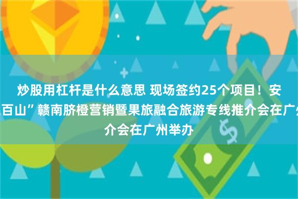 炒股用杠杆是什么意思 现场签约25个项目！安远“三百山”赣南脐橙营销暨果旅融合旅游专线推介会在广州举办