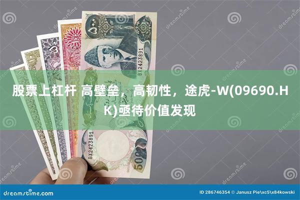 股票上杠杆 高壁垒，高韧性，途虎-W(09690.HK)亟待价值发现