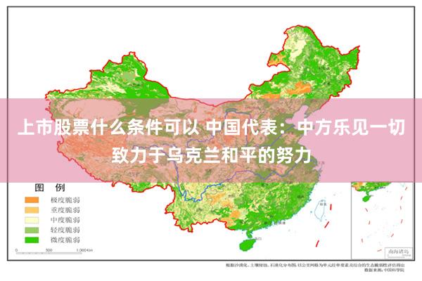上市股票什么条件可以 中国代表：中方乐见一切致力于乌克兰和平的努力