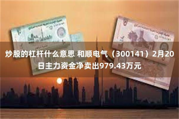 炒股的杠杆什么意思 和顺电气（300141）2月20日主力资金净卖出979.43万元