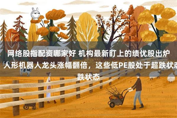 网络股指配资哪家好 机构最新盯上的绩优股出炉！人形机器人龙头涨幅翻倍，这些低PE股处于超跌状态