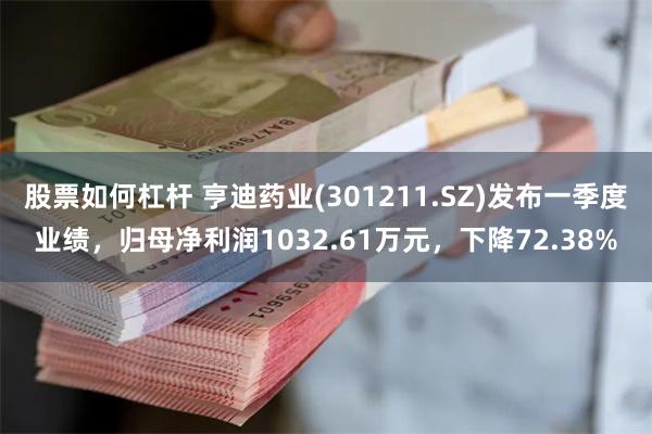 股票如何杠杆 亨迪药业(301211.SZ)发布一季度业绩，归母净利润1032.61万元，下降72.38%