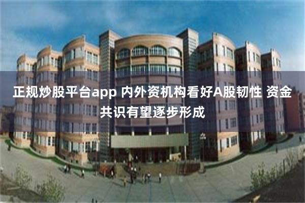 正规炒股平台app 内外资机构看好A股韧性 资金共识有望逐步形成