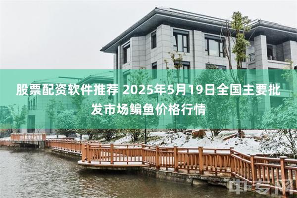 股票配资软件推荐 2025年5月19日全国主要批发市场鳊鱼价格行情