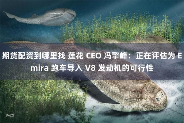 期货配资到哪里找 莲花 CEO 冯擎峰：正在评估为 Emira 跑车导入 V8 发动机的可行性