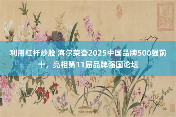 利用杠杆炒股 海尔荣登2025中国品牌500强前十，亮相第11届品牌强国论坛