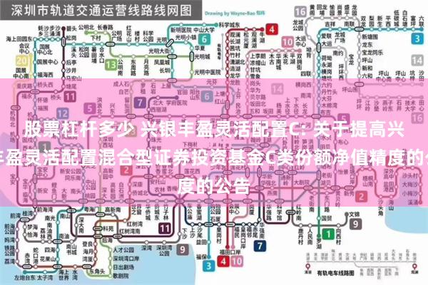 股票杠杆多少 兴银丰盈灵活配置C: 关于提高兴银丰盈灵活配置混合型证券投资基金C类份额净值精度的公告