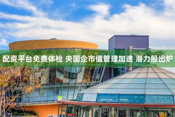 配资平台免费体检 央国企市值管理加速 潜力股出炉