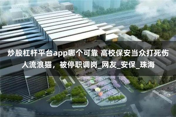 炒股杠杆平台app哪个可靠 高校保安当众打死伤人流浪猫，被停职调岗_网友_安保_珠海